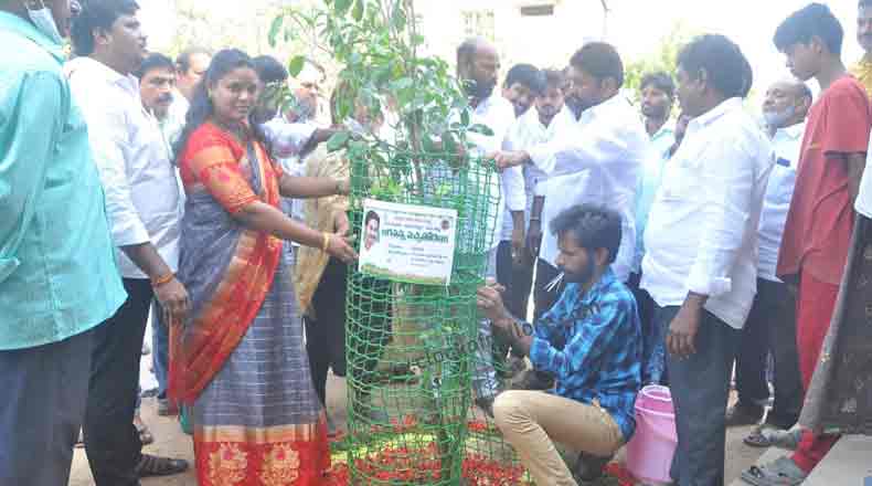 హరిత నెల్లూరు సాధనే లక్ష్యం… మొక్కలు నాటిన మేయర్ స్రవంతి