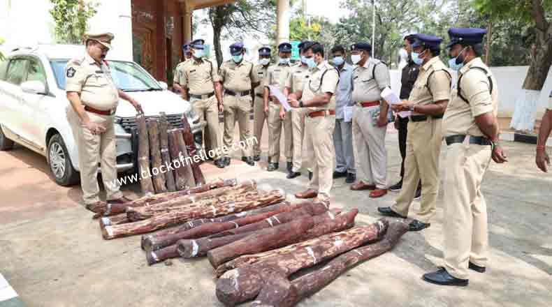 ఎర్ర చందనం స్మగ్లర్లను అరెస్ట్ చేసిన నెల్లూరు పోలీసులు…