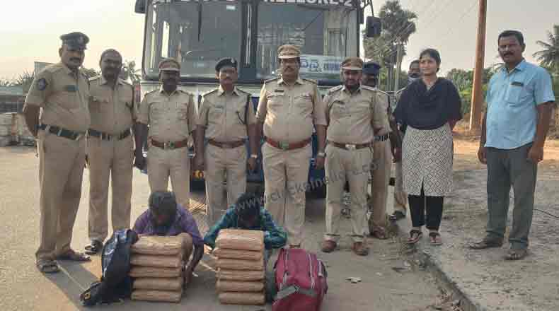 చెన్నైకి ఆర్టీసీ బస్సులో గంజాయి తరలింపు – 24 కేజీల స్వాధీనం