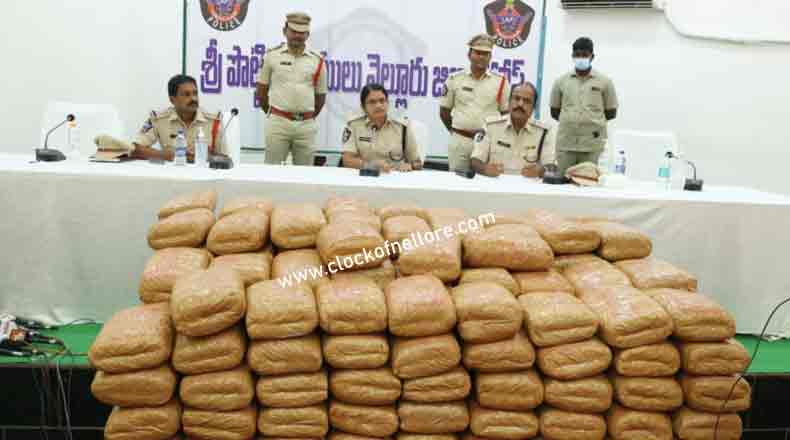 నెల్లూరుజిల్లాలో భారీగా గంజాయి పట్టివేత… 432 కేజీల స్వాధీనం