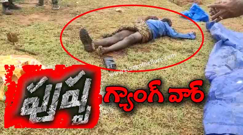 నెల్లూరుజిల్లాలో ” పుష్ప ” తరహా గ్యాంగ్ వార్ : ఒకరు దారుణ హత్య