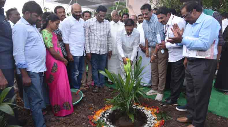 నెల్లూరుజిల్లాలో పామాయిల్ సాగు : ప్రారంభించిన వ్యవసాయ మంత్రి కాకాణి