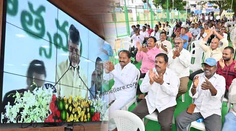 ముఖ్యమంత్రిగా చంద్రబాబు ప్రమాణం – నెల్లూరంతా సంబరం